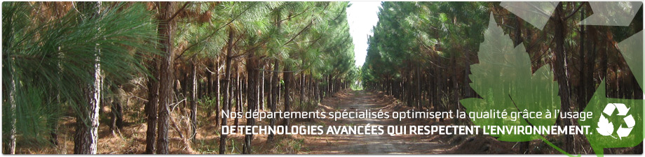 Qualité, Sécurité et Environnement